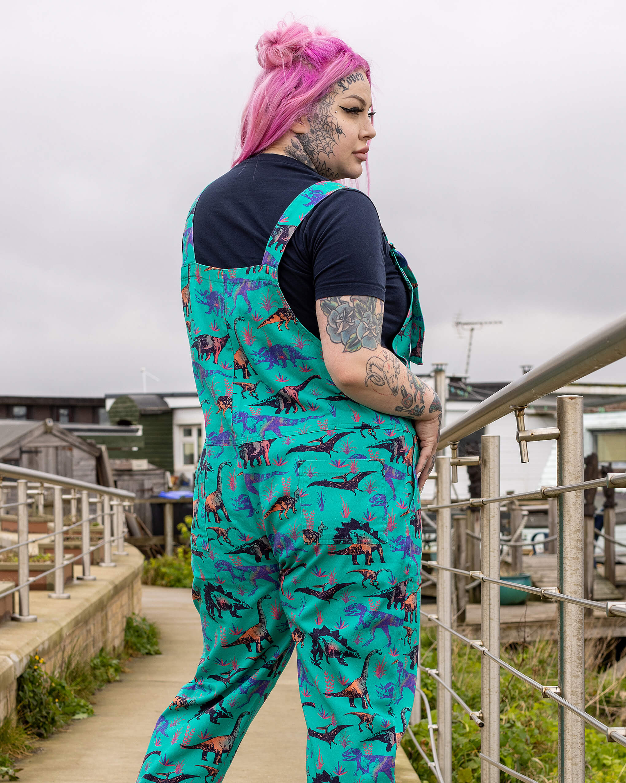 Dinosaur dungarees run and fly best sale